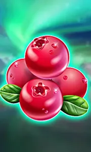 Winterberries